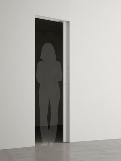 sliding door 60x210